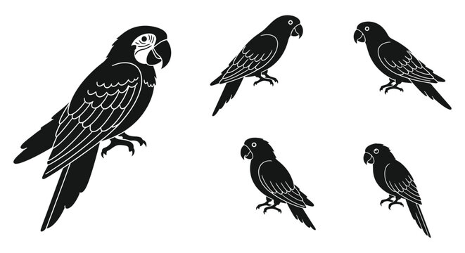 Four black turtle shapes displayed on a white background silhouette