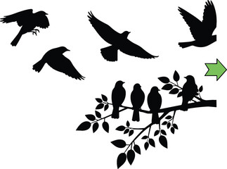 Fototapeta premium Bird silhouettes collection flying and perched on branch isolated black shapes wildlife nature vector illustration design elements set
