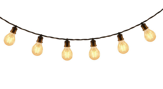 String of vintage edison light bulbs isolated on transparent background