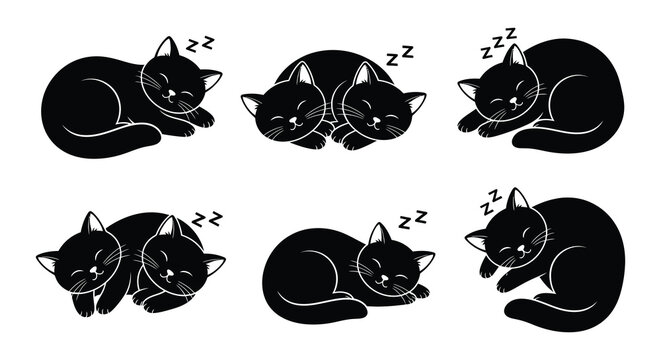 Black cats are sleeping peacefully in various curled up positions