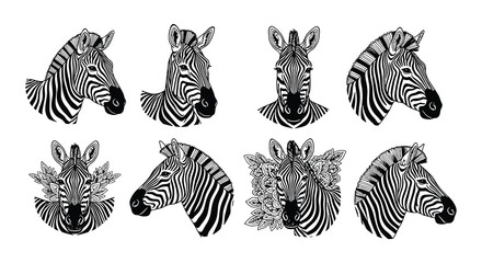 Stylized zebra head illustrations in black and white with floral elements © nurjahan