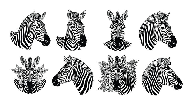 Stylized zebra head illustrations in black and white with floral elements