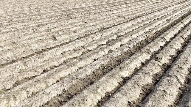 Abstrakte Feldstruktur aus der Vogelperspektive &ndash; landwirtschaftliche Linien und Texturen
