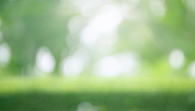 blur natural and light background in the park 