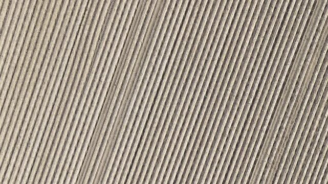 Abstrakte Feldstruktur aus der Vogelperspektive &ndash; landwirtschaftliche Linien und Texturen