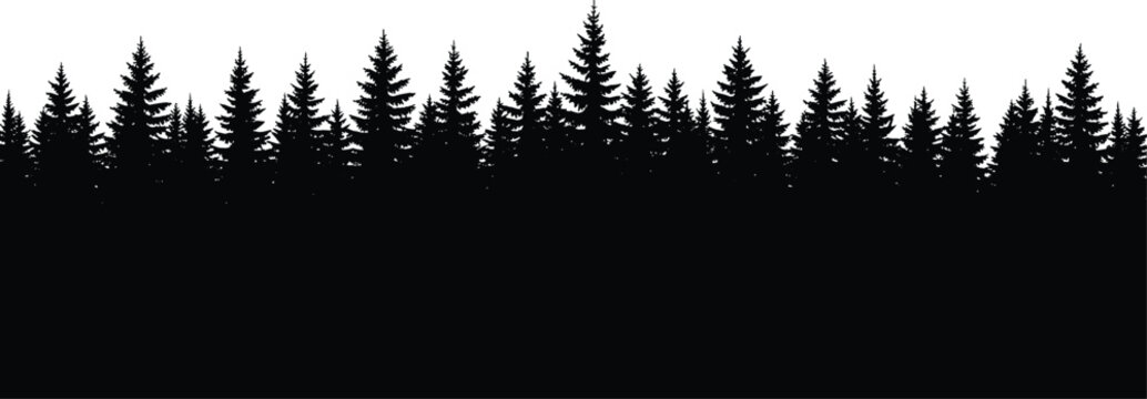 Pine forest silhouette border with dense trees, natural landscape illustration for wilderness design, outdoor background, and scenic decoration