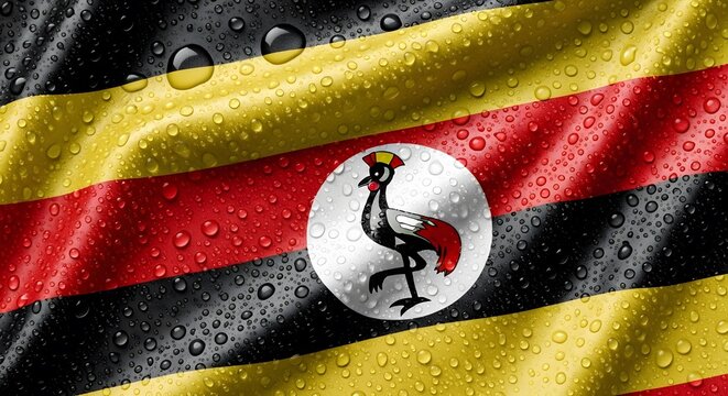 A close-up view of the Ugandan flag, featuring its distinctive black, yellow, and red stripes, with a grey crowned crane emblem in the center, all covered in glistening water droplets.