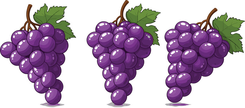 Purple grape bunch vector illustration set, fresh juicy vineyard fruit clusters with leaves in glossy style isolated on white background food design collection