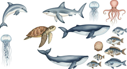 Ocean Marine Animal Collection Vector Illustration Featuring Whale Shark Dolphin Sea Turtle Octopus Jellyfish and Assorted Fish in Detailed Style © Mohammad