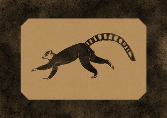 Vintage ring-tailed lemur illustration in black ink on textured kraft paper background, with detailed hand-drawn patterns and rustic distressed style. Minimalist safari-themed animal poster. © Lisa