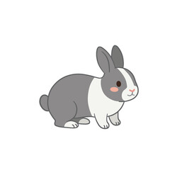 Fototapeta premium white rabbit on white background