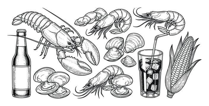 Classic engraving style seafood boil ingredients with lobster shrimp clams corn and drinks for menu and recipe book designs