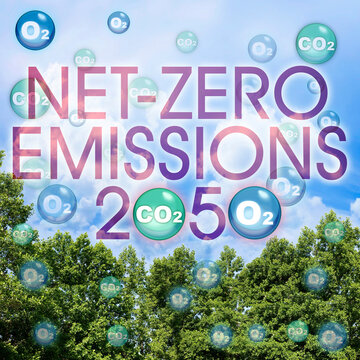 European Union sets new climate law: net-zero emissions are now a target for 2050 - Carbon Neutrality concept with CO2 and O2 molecules against tree canopy and sky background