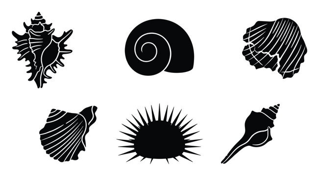 Various seashells and sea urchin silhouettes offer diverse marine life symbols for summer vacation branding and ocean themed projects