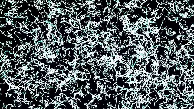 leopard skin texture motion video move. abstract background motion video move.