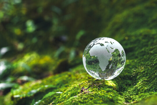 Crystal earth in forest ESG concept ,Sustainable development goal (SDGs) Ideas for Sustainable development SDGs, ESG, NetZero, and co2