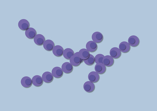 Bacteria, illustration