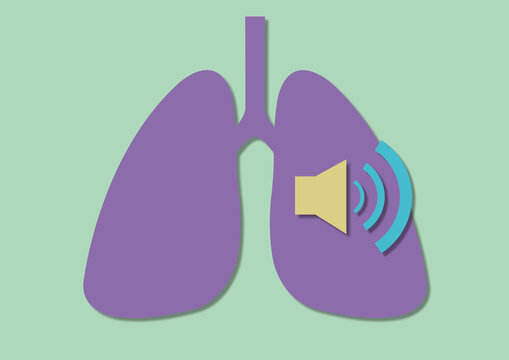 Lung sounds, conceptual illustration