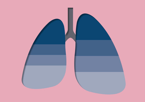 Restrictive and obstructive lungs, conceptual illustration