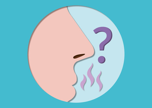 Sense of smell, conceptual illustration