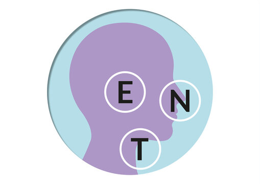 Ear, nose and throat, conceptual illustration