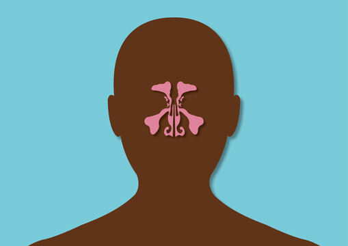 Healthy sinuses, conceptual illustration