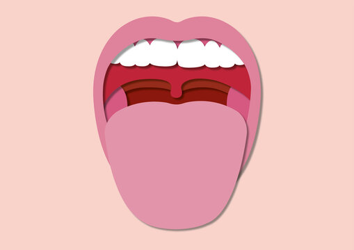 Tongue, illustration