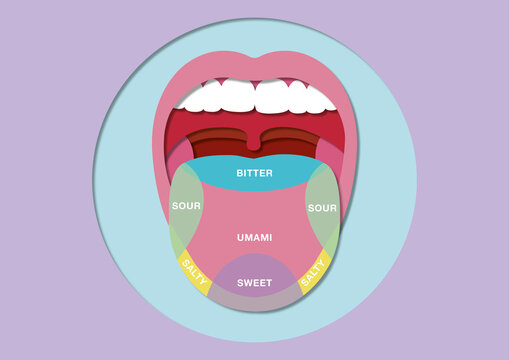 Taste, conceptual illustration