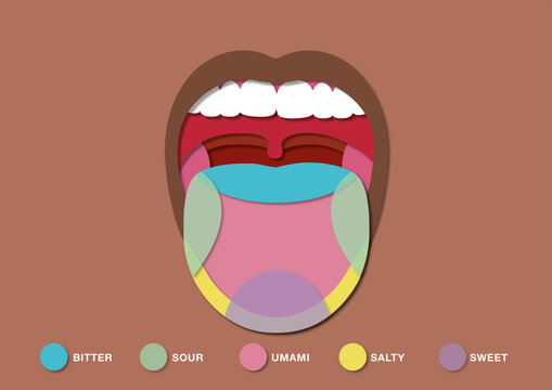 Taste, conceptual illustration
