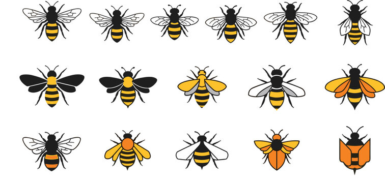 Vector Set of Cute Bees in Various Poses and Styles, with Detailed Wings and Stripes for Nature, Insect, and Pollination Designs