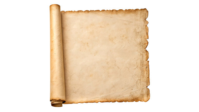 Old scroll with curled edges showing a blank surface ready for writing or drawing  isolated on transparent background cut out