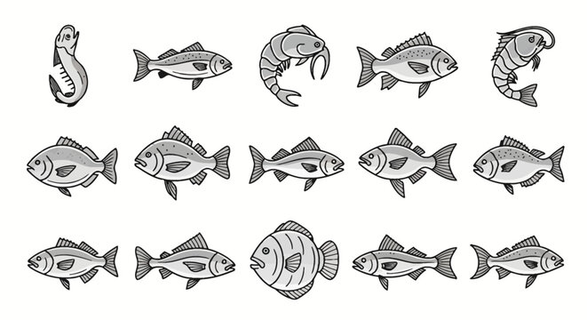 Vector line art illustrations featuring fifteen diverse saltwater and freshwater fish species and shrimp, designed as a clean grey and white icon set isolated on a white background.