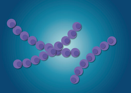 Bacteria, illustration