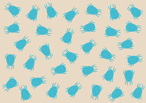 Dust mites, illustration