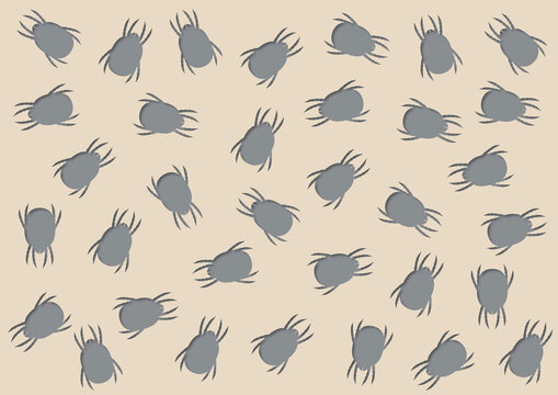 Dust mites, illustration