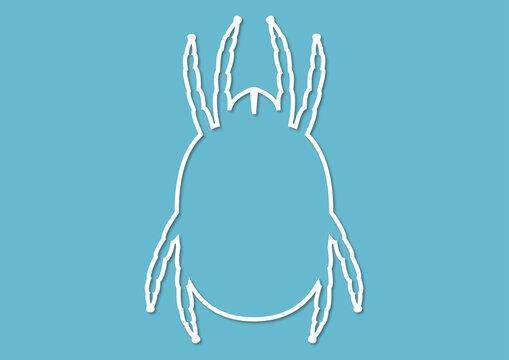 Dust mite, illustration