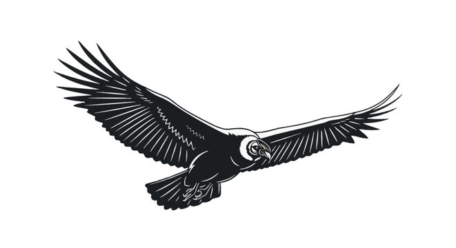 Black and white vector illustration of a majestic Andean condor in flight with wings wide open, detailed line art silhouette of a soaring scavenger bird on a white background.