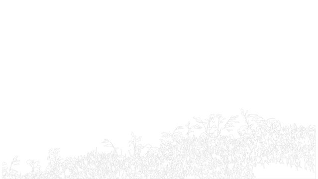 Horizontal meadow plant pattern vector with delicate line art botanical sketches and leaves.