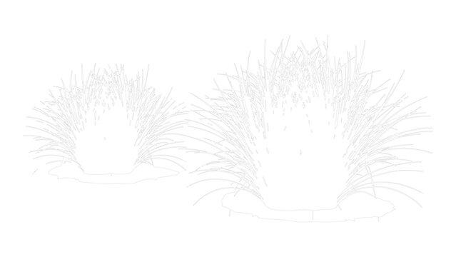 Decorative floral line art collection with various plant forms on transparency background.