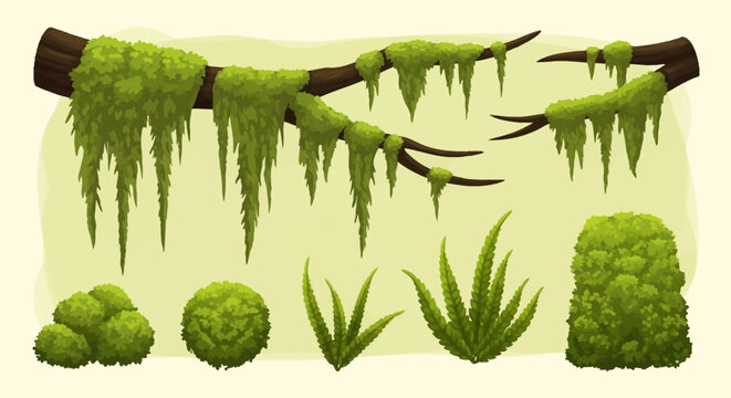 Vector illustration set featuring green hanging jungle moss on dark wooden branches, round mossy mounds, and swamp fern plants isolated on a light background for nature design.