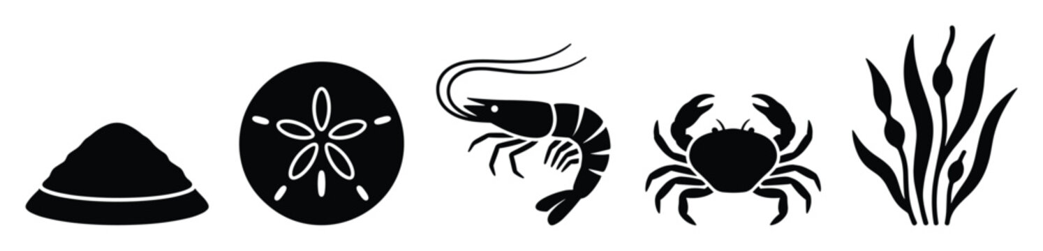 Assortment of marine life silhouettes featuring a sand dollar shrimp crab limpet and seaweed for ocean themed projects