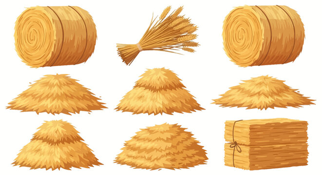 Set of vector illustrations featuring various hay storage types: round bales, rectangular straw stacks, loose haystacks, and a wheat sheaf bundle isolated on white background.
