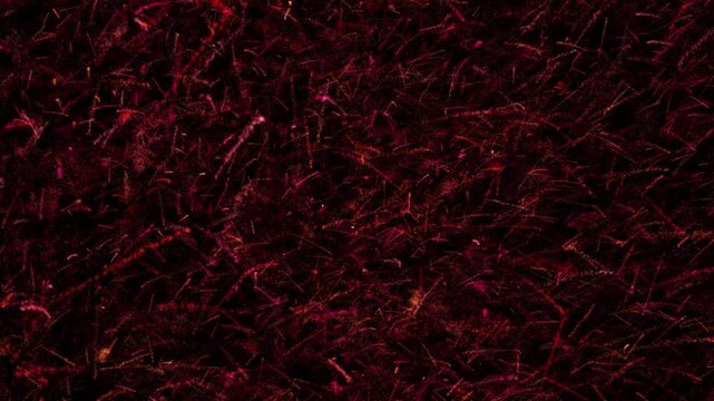 red abstract background motion video move. fire background. pattern texture video 