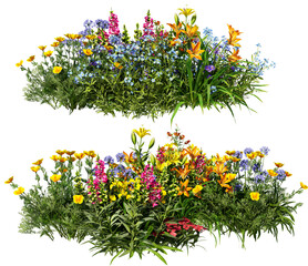 Shrubs and flower on a transparent background