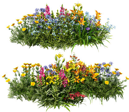 Shrubs and flower on a transparent background