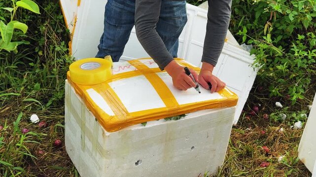 Farmer sealing and labeling foam box with fresh produce in Moc Chau, Vietnam, agriculture supply chain, food delivery and small business logistics.