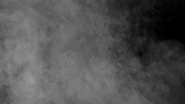 Rising wall of white smoke dissipating and fading in the wind with alpha channel