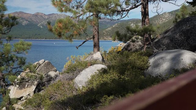 Ground squirrel pauses on rock with scenic lake and forest surroundings