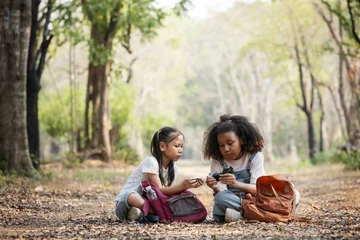 Children Using Compass in Forest, Outdoor Learning and Navigation Exploration Concept © kamonrat