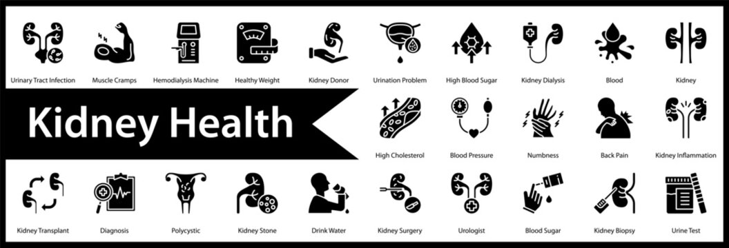 Kidney Health icon set and collection